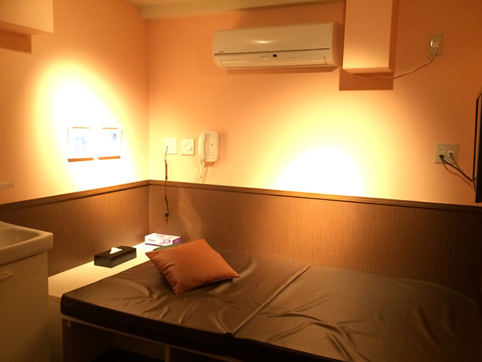 Appeler rental room plan